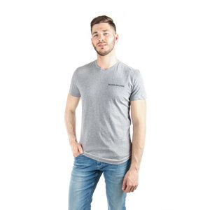 Calvin Klein pánské šedé tričko - M (39)
